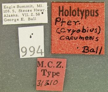 Media type: image;   Entomology 31310 Aspect: labels